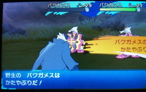 亀ポケモンのランダム道中記 Sm アローラ地方に登場する亀ポケモン