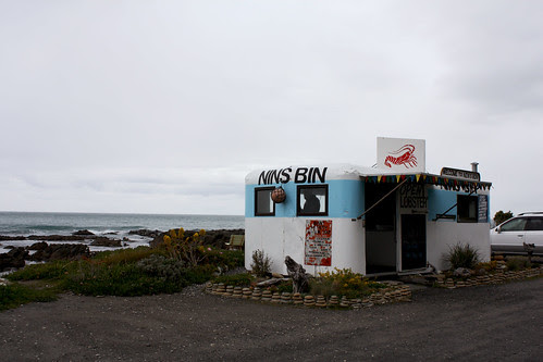 Nins Bin, Kaikoura