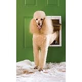 PetSafe Extreme Weather Door, White(Three-Disc 45th Anniversary Blu-ray/DVD Combo)