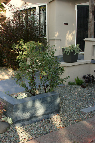concrete, arctostaphylos and gravel