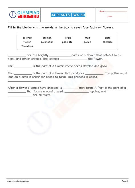  grade 3 math olympiad worksheets free download gmbarco