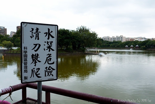 P1000554