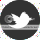 photo twitter-2_zps0b6a46e8.png
