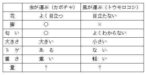 花から実へ６ 花粉の違いはどうしてだろう