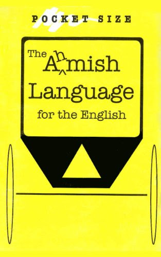 The Amish Language for the English, by Steve Troyer, Dan Swartzentruber