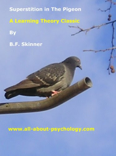 Superstition in the Pigeon, by B. F. Skinner, www.all-about-psychology.com