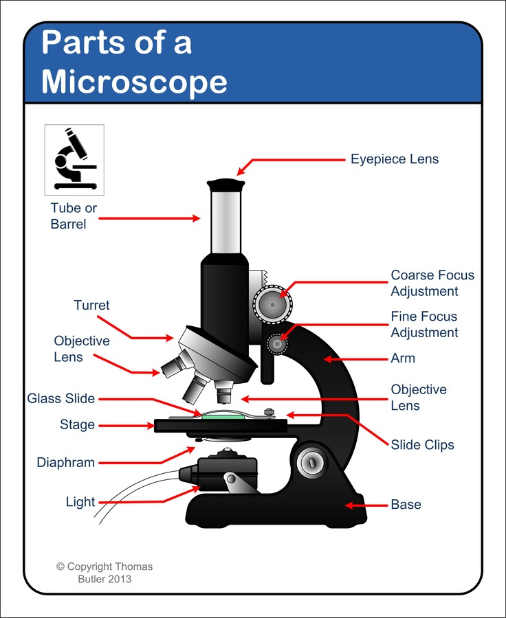 Free Microscope Drawing, Download Free Microscope Drawing png ...