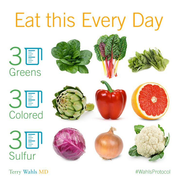 Terry Wahls Protocol