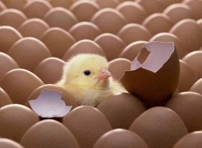 Be Different (20 piсs)