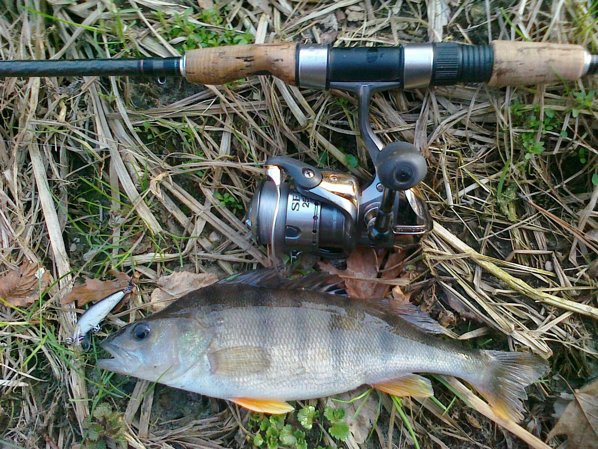 Il Lago Maggiore: panoramica su ambiente, pesci e pesca