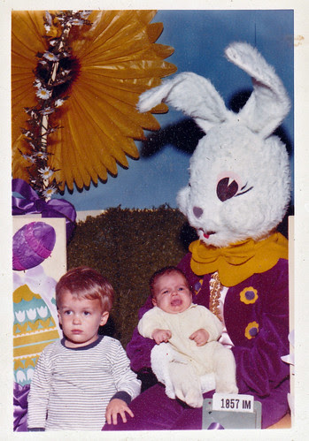 baby bunnies pictures