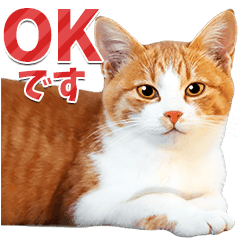 明るい茶白猫 Lineスタンプ みけのき
