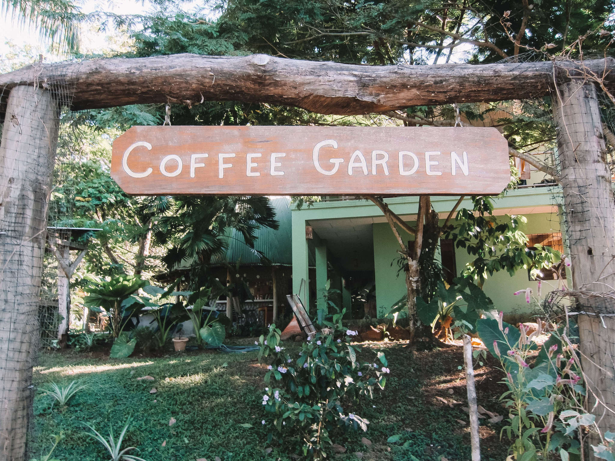 coffee in costa rica