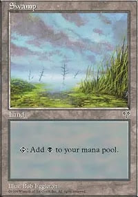 Swamp