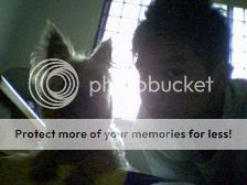 Image hosting by Photobucket