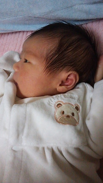 楠田えり子の髪型って新生児 写真共有サイト フォト蔵