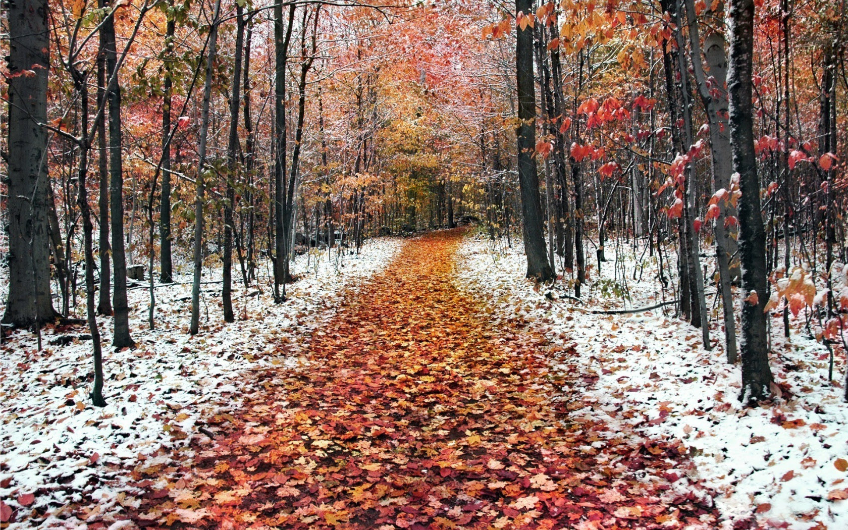 Free Late Winter Desktop Wallpaper - WallpaperSafari
