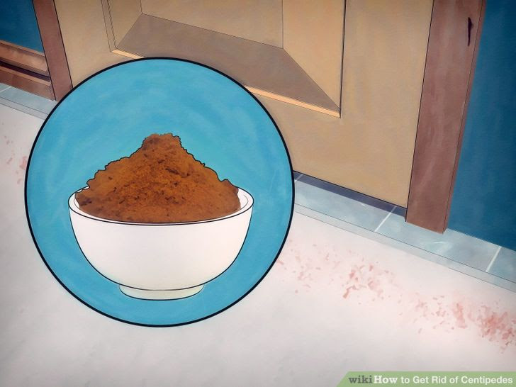 Get Rid of Centipedes Step 10 Version 2.jpg
