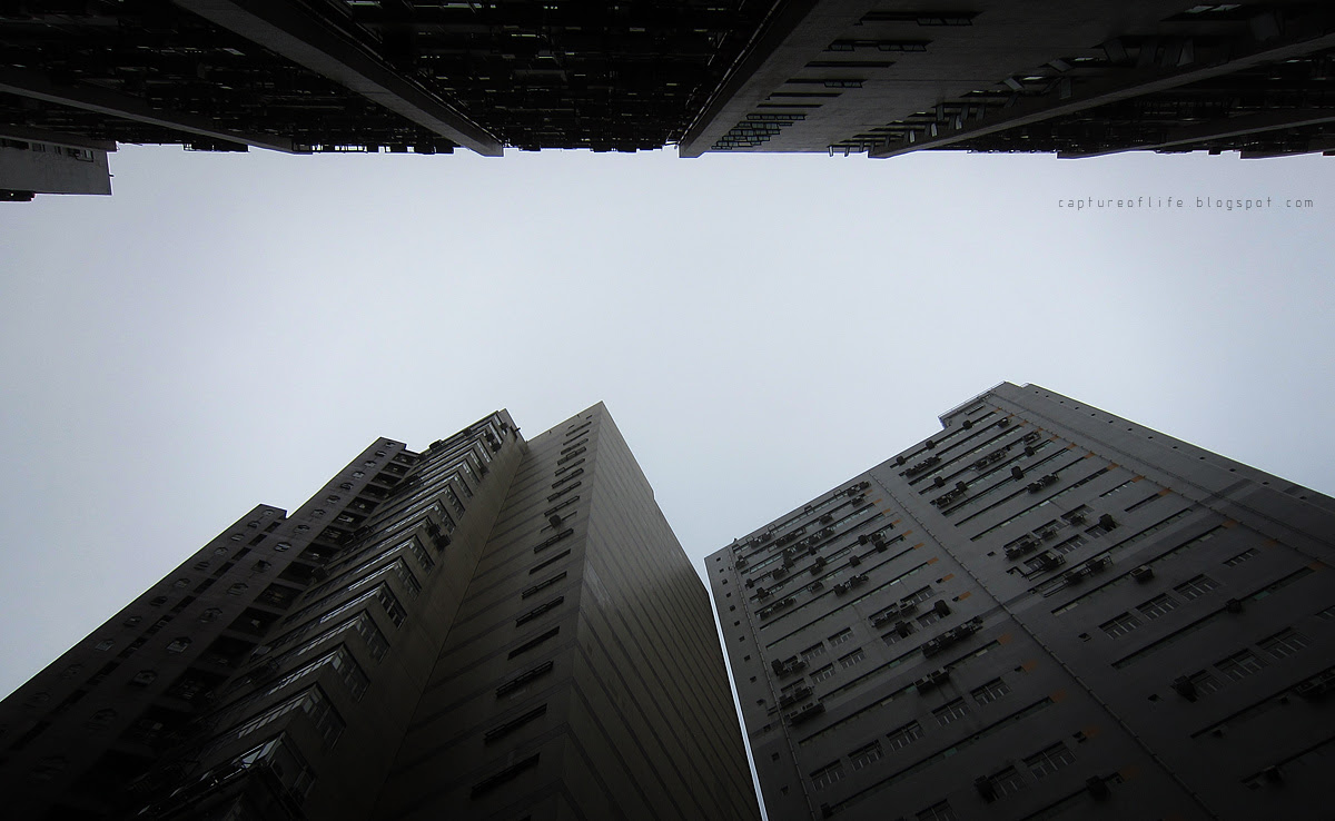 the city