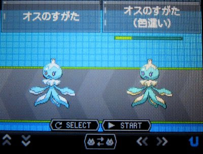 テトのひだまり日記 色違いプルリル