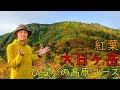 [最も共有された！ √] ひるがの 高原 紅葉 267929-ひるがの 高原 コキアパーク 紅葉 期