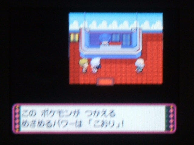 能力の高いポケモンの育て方 めざめるパワー すねかじりブログ
