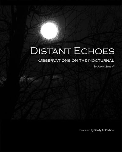 Now Available - Distant Echoes