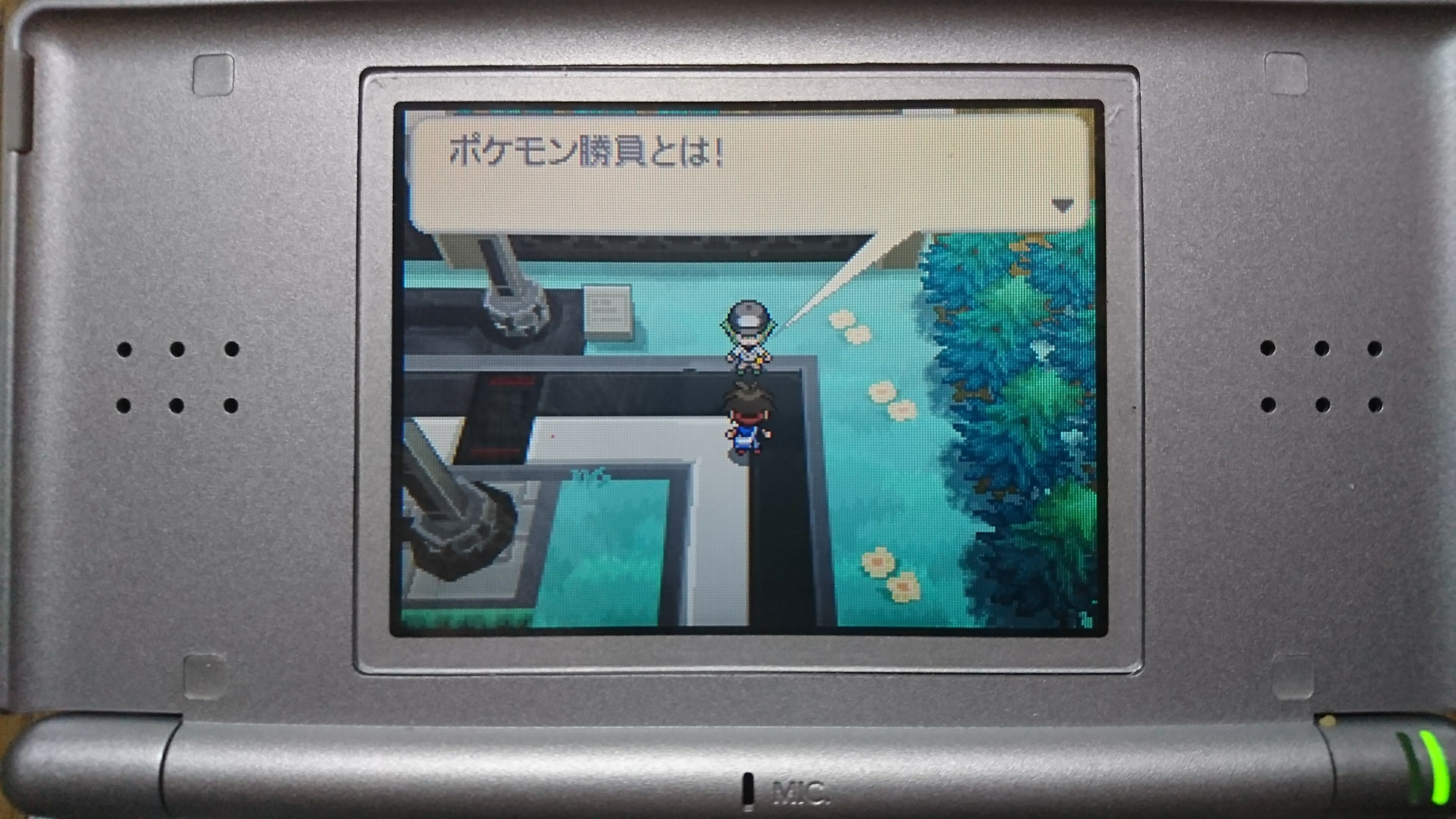 ポケモンbw2 元プラズマ団 N ゲーチスなど 会話セリフイベント一覧 とりもげ Com
