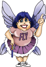 FlyLady cartoon