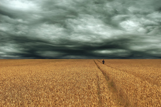 BCC ANNUAL EXHIBITION POSTER 2011 - Photo - Joe Kennedy - Wheat Field