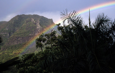Hapaのmanoa In The Rain Alohayou Com Hawaiian Music