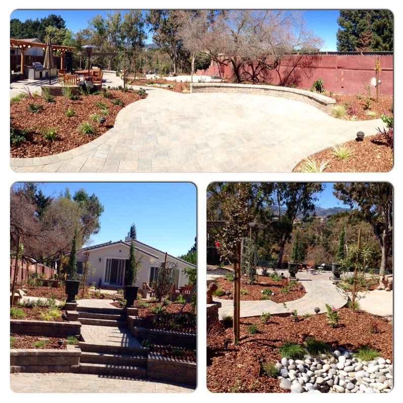 California Landscape Architect License Lookup