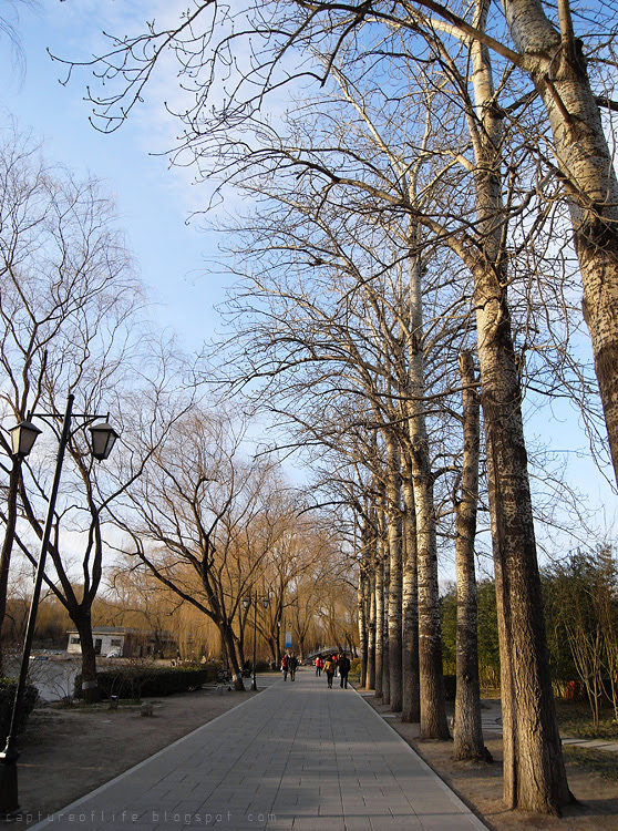 2010_1208_153918edz