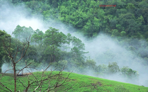 ระเบียงดาว ม่อนแจ่ม แม่กลางหลวง ความงามแห่งสายฝน