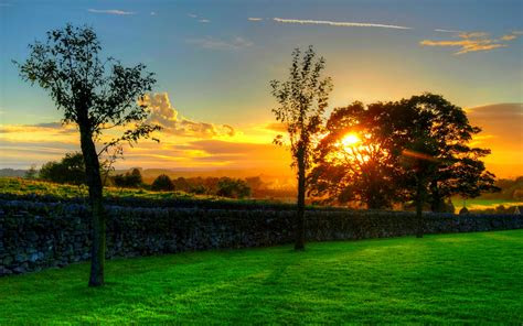 summer hd wallpapers