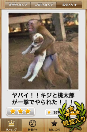 爆笑写真大喜利サイト ボケて の公式iphoneアプリが登場 ハロ ボケて Bokete 面白写真で一言ボケるお笑いアプリ をリリース Vsmedia