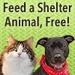The Animal Rescue Site