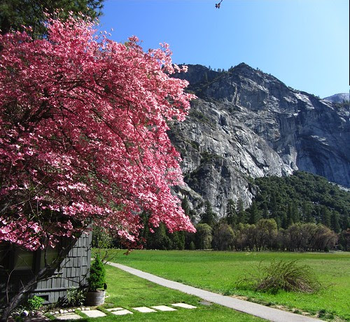 yosemite73