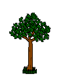 tree with ghost that creeps out and says boo animated gif