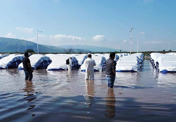 ホンダ セラヤ工場が生産を100 再開 ココ メキシコ