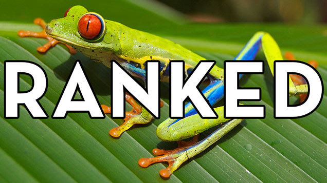 The Ten Plagues, Ranked