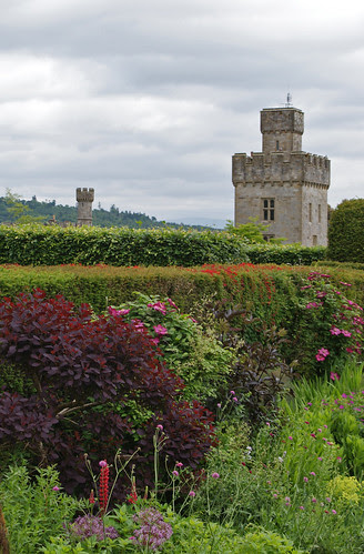DSC05201