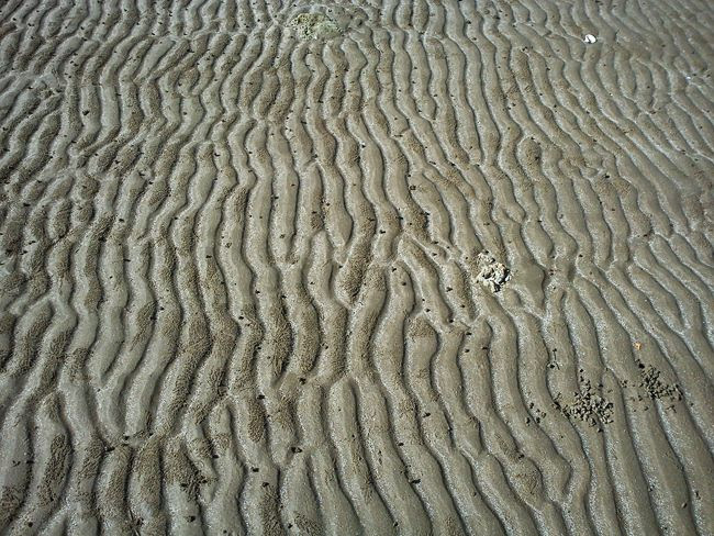 Sand texture (c) Heyladyspring.com