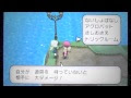 [最新] ポケモンxy 群れバトル 努力値 295863-ポケモンxy 群れバトル 努力値