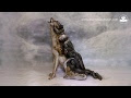 Amazing painting of a wolf