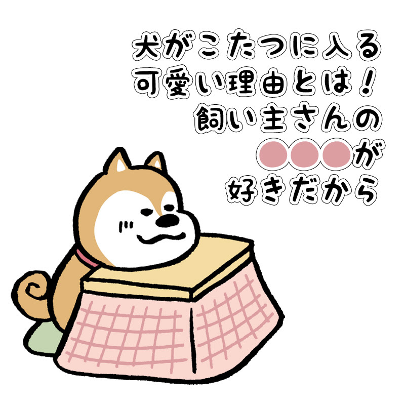 犬がこたつに入る理由は 飼い主さんが大好きだから 犬がこたつで丸くなる秘密