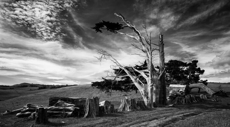 10 Photography Bad Habits for You to Conquer