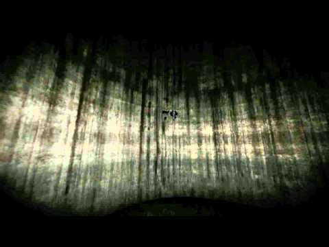 Scp 087