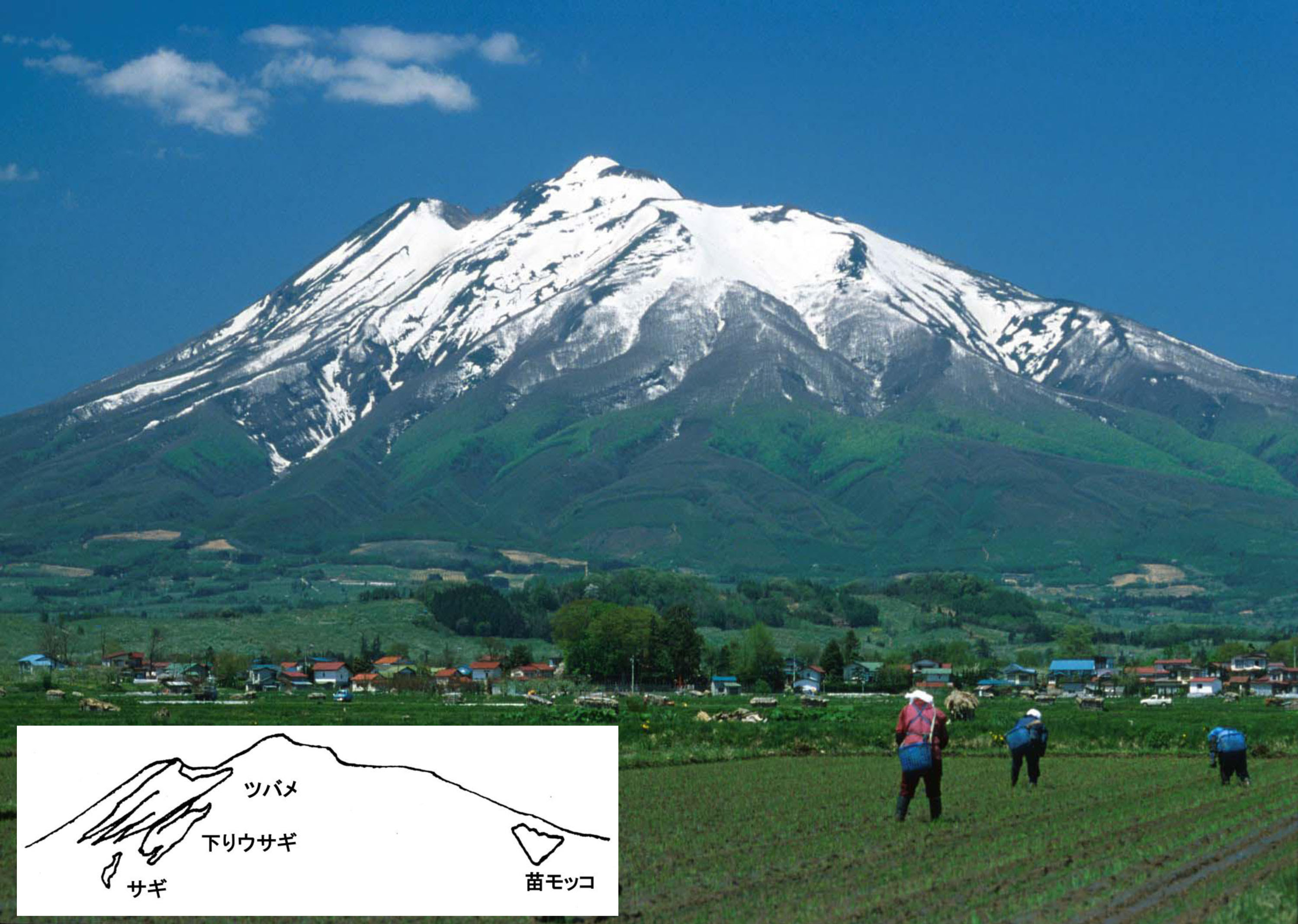 あおもりなつかし写真帖 第5回 岩木山の雪形 40体以上住みつく 15年6月12日 奏海 かなみ 青森まちかど歴史の庵
