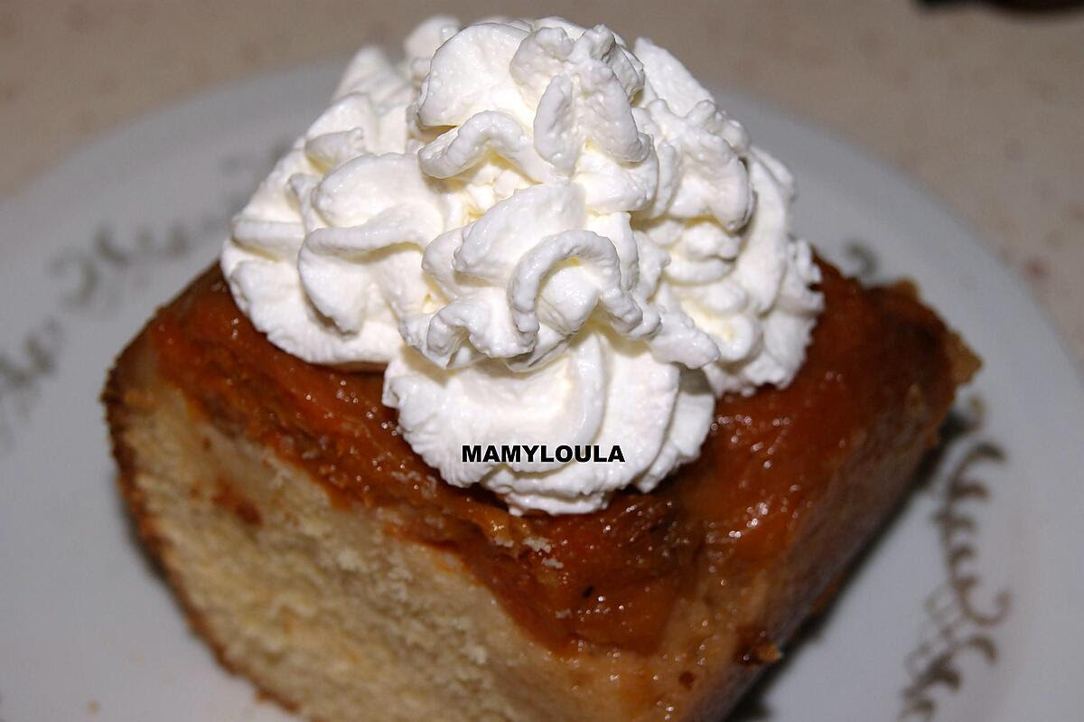 Les Meilleures Recettes De Gateau Abricot Caramel